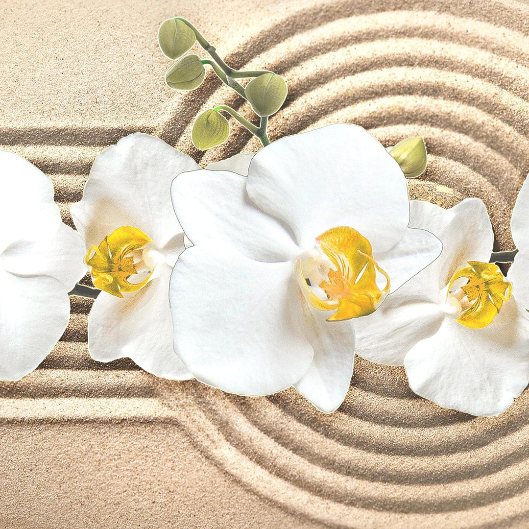 Runa Art Wandbilder Blumen Orchidee 5 Teilig Bild auf Vlies Leinwand Deko Wohnzimmer Sand Beige Gelb