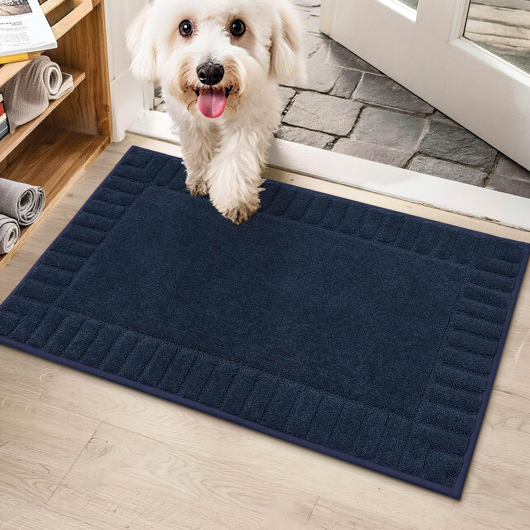 BEQHAUSE Fussmatte Innen, Waschbare und TPR rutschfeste, Blau, 50x80cm | Schmutzfangmatte für Haustü