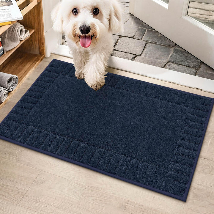 BEQHAUSE Fussmatte Innen, Waschbare und TPR rutschfeste, Blau, 50x80cm | Schmutzfangmatte für Haustü