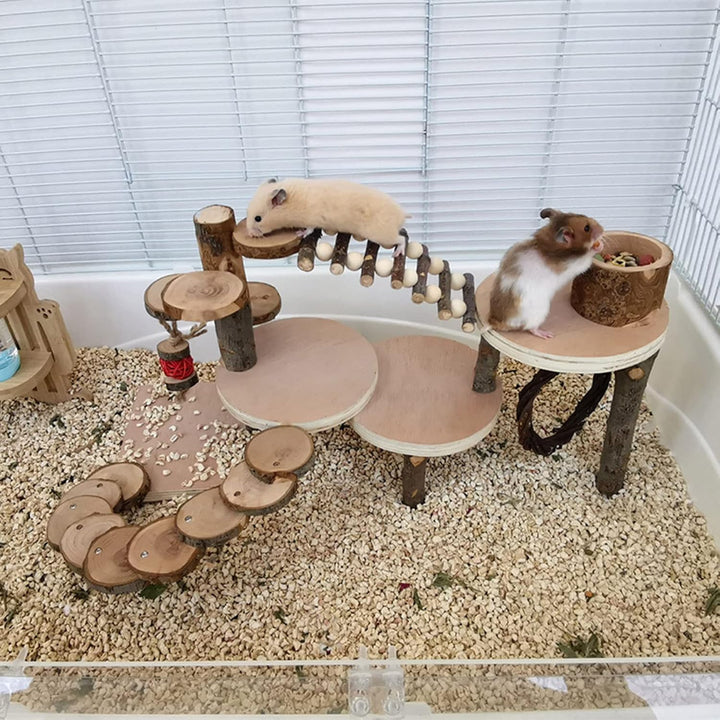 Hamster Spielzeug, Meerschweinchen Spielzeug, Kaninchen Zubehör, Kaninchen Spielzeug für Hamster Mee