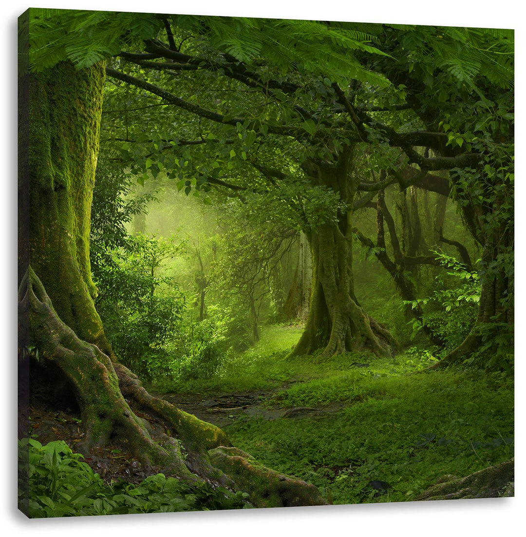 Pixxprint Dschungel im tropischen Regenwald, Grösse: 60x60, Leinwandbild Quadratisch, Wandbild, Kuns