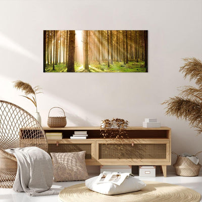 Wandbilder Dekoration Wohnzimmer Bäume Sonne Natur Panorama Bilder auf Leinwand 120x50cm Leinwandbil