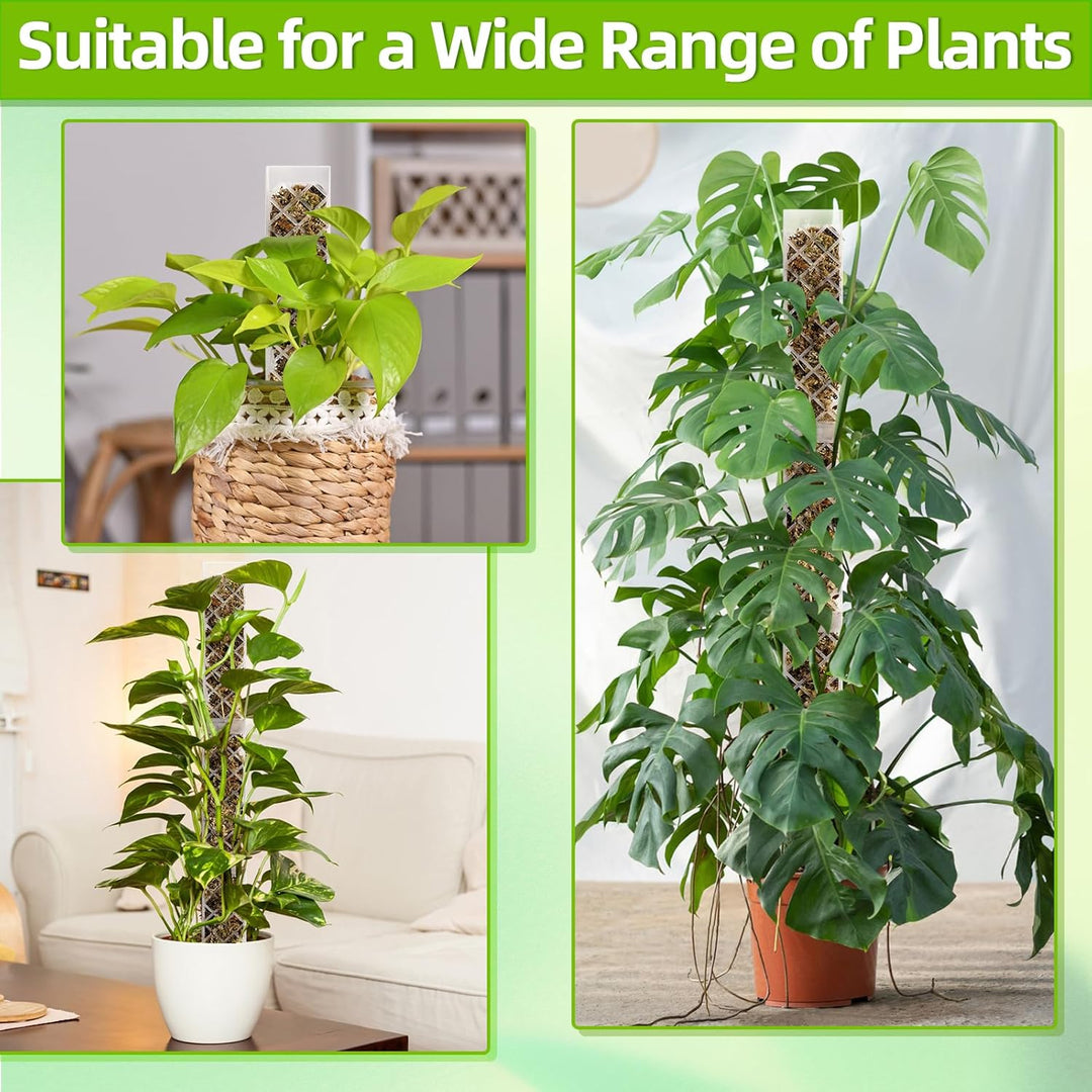 Moosstab für Monstera Rankhilfe Zimmerpflanzen Zubehör Set, 4 Stück 35cm (Moosstab + Bodeneinführung