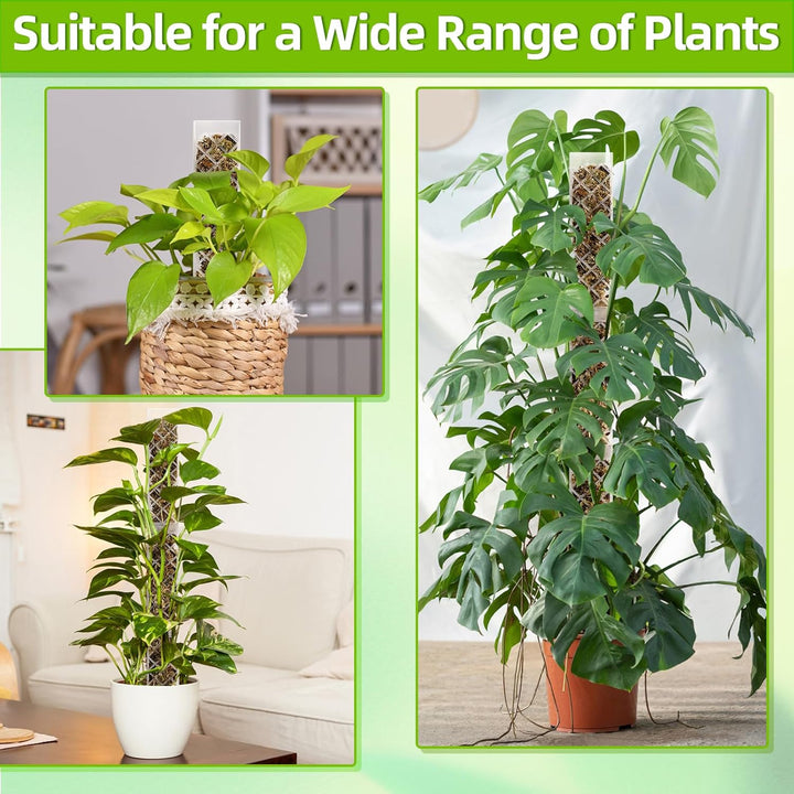 Moosstab für Monstera Rankhilfe Zimmerpflanzen Zubehör Set, 4 Stück 35cm (Moosstab + Bodeneinführung
