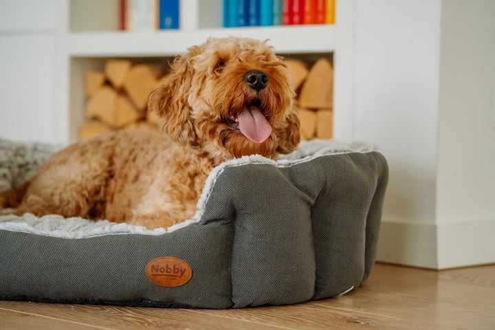Nobby Komfort Bett oval "CACHO" dunkelgrau L x B x H: 86 x 70 x 24 cm dunkelgrau 86 x 70 x 24 cm, du