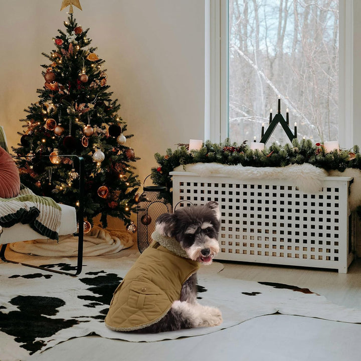 Queenmore Wintermantel Hund Wasserdicht Hundemantel Winter Mittelgrosse Hunde Warme Fleecemantel Hun
