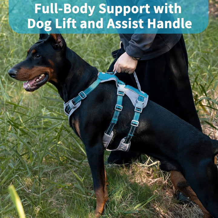 Huntboo Sicherheitsgeschirr Hund Ausbruchsicher, Panikgeschirr für Hunde, Reflektierendes Geschirr H