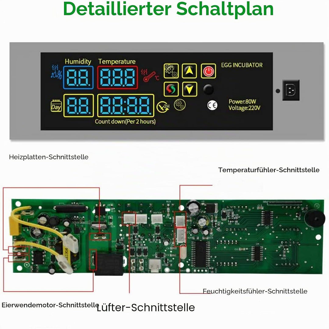 YALIKESI DIY Mini-Inkubator Controller Set Digital Temperatur und Feuchtigkeitsregler für Geflügelei