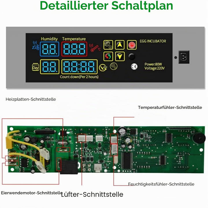 YALIKESI DIY Mini-Inkubator Controller Set Digital Temperatur und Feuchtigkeitsregler für Geflügelei