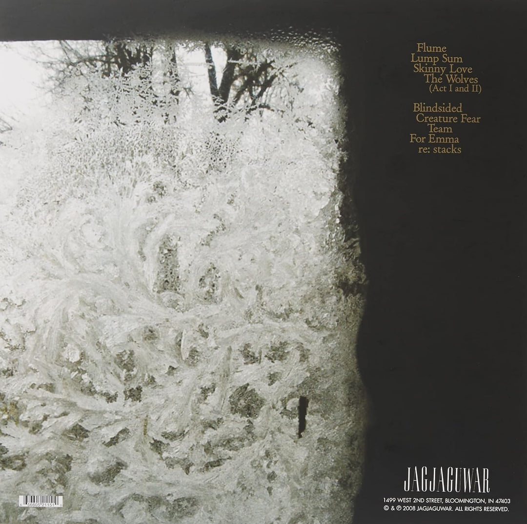 For Emma,Forever Ago, Vinyl