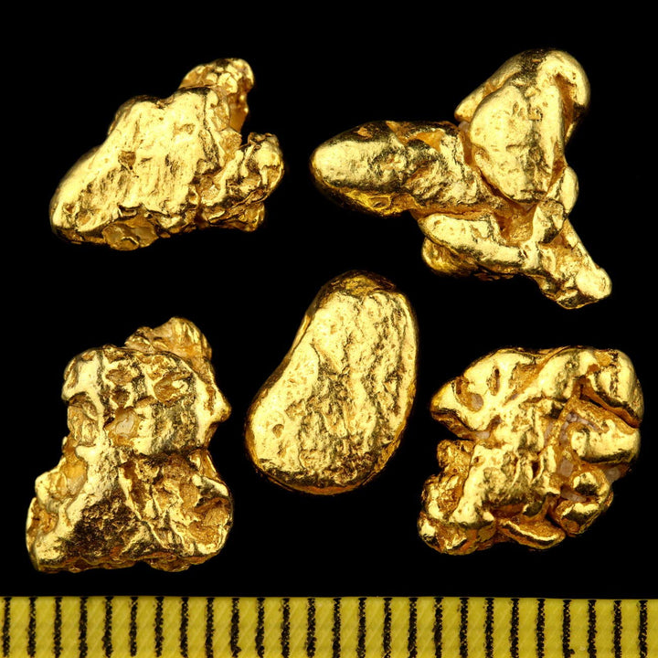 3 Gramm Echte XXL Goldnuggets aus Alaska mit Echtheitszertifikat in edler Münzdose, 3 Gramm
