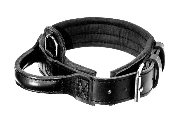 Dingo Gear Lederhalsband für Hund ''Drago'' Amortisiert Schwarz mit Griff Handgefertigt S04021, 48-5