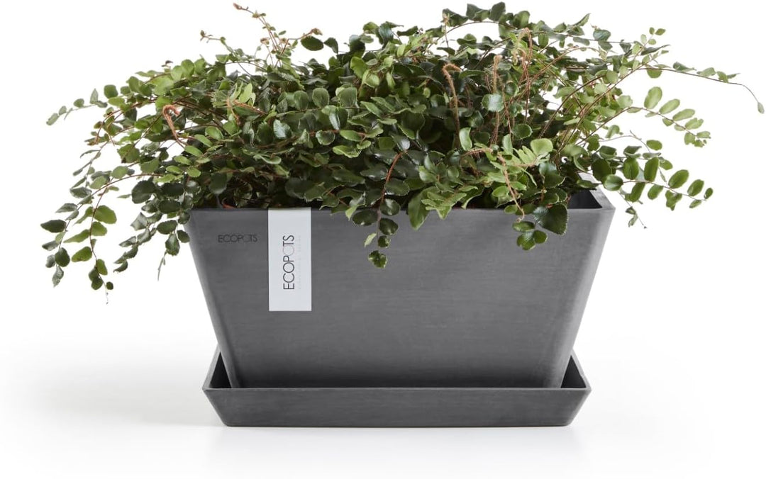 ECOPOTS Blumentopf Berlin Grau - 31 x 31 cm quadratisch - Pflanzentopf aus Recycling Kunststoff - Üb