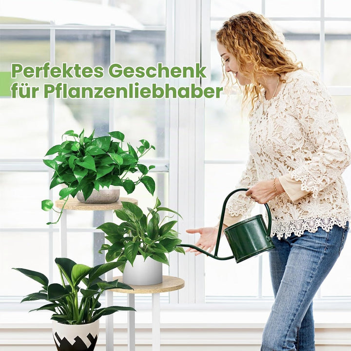 YOCOMEY 4 Tier Hölzern Blumenregal Metall Pflanzenregal, Mehrstöckig Blumenständer Pflanzenständer B