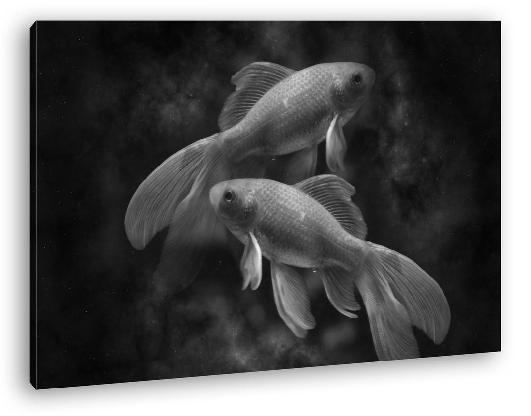 deyoli Dark Sternzeichen Fische Effekt: Schwarz/Weiss Format: 80x60 als Leinwandbild, Motiv fertig g