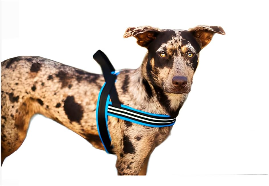 ComfortFlex Sport-Hundegeschirr, vollständig gepolstert, reflektierend, verstellbar, leicht, kein Wü
