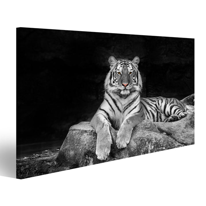 Bild auf Leinwand weisser Tiger Wandbild Poster Leinwandbild 100x57 1-teilig, 100x57 1-teilig