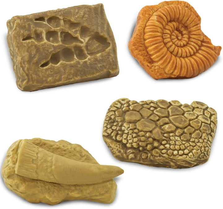 Safari Ltd. antike Fossilien TOOB - Figuren: Dinosaurier-Fussabdruck, Riesenkrabbe, Ammonit, Raptor-