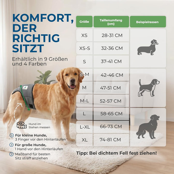Läufigkeitshose für Hündinnen 2.0 - Hundewindeln aus hochwertigem perforiertem Neopren für einen opt