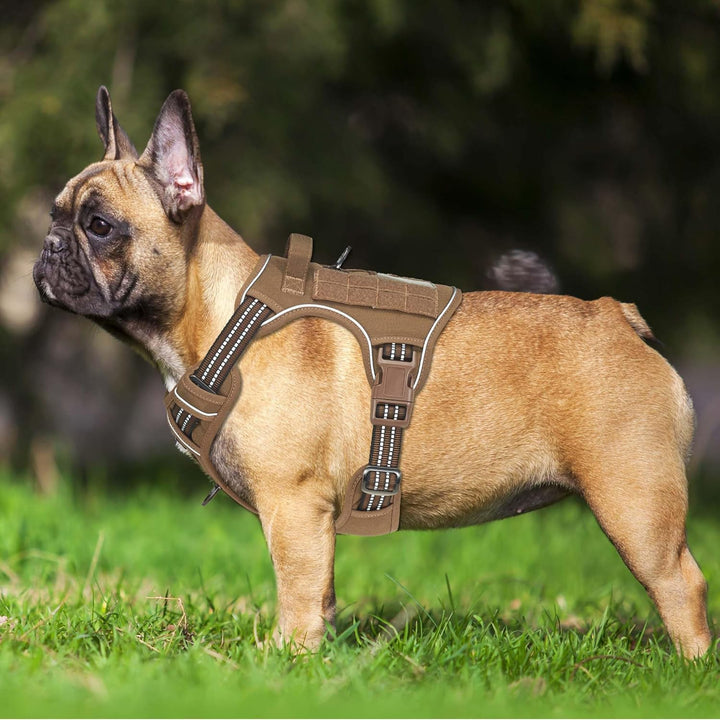 Haapaw Heavy Duty Taktisches Hundegeschirr für mittelgrosse Hunde, kein Zug Verstellbares Haustierge