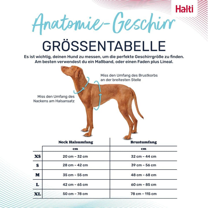 HALTI Anatomy Hundegeschirr mit Griff – Bewegungsfreiheit und Tragekomfort für deinen Hund. 3 Verbin