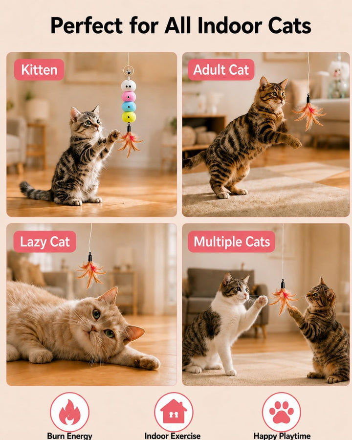 Interaktives Katzenspielzeug Mit 6 Ersatzköpfen | Spielzeug Katzen Selbstbeschäftigung für Katzenspi