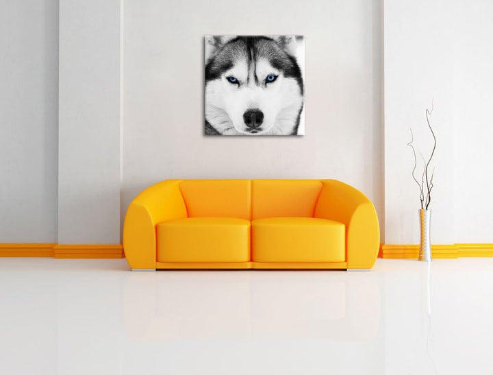 Pixxprint Husky mit blauen Augen als Leinwandbild | Grösse: 70x70 cm | Wandbild | Kunstdruck | ferti