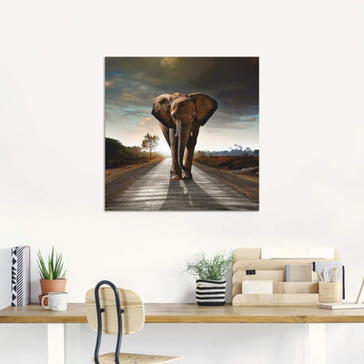 Artland Wandbild Alu für Innen & Outdoor Metall Bild 40x40 cm Tiere Wildtiere Elefant Fotografie Bra