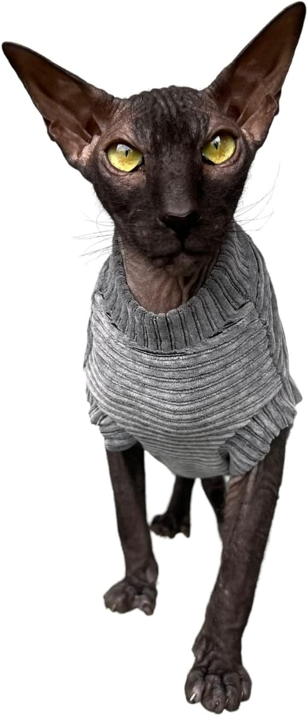 Kotomoda Katzen-T-Shirt aus Cord fьr Sphynx und nackte Katzen (klein, dunkelgrau) Small grau, Small