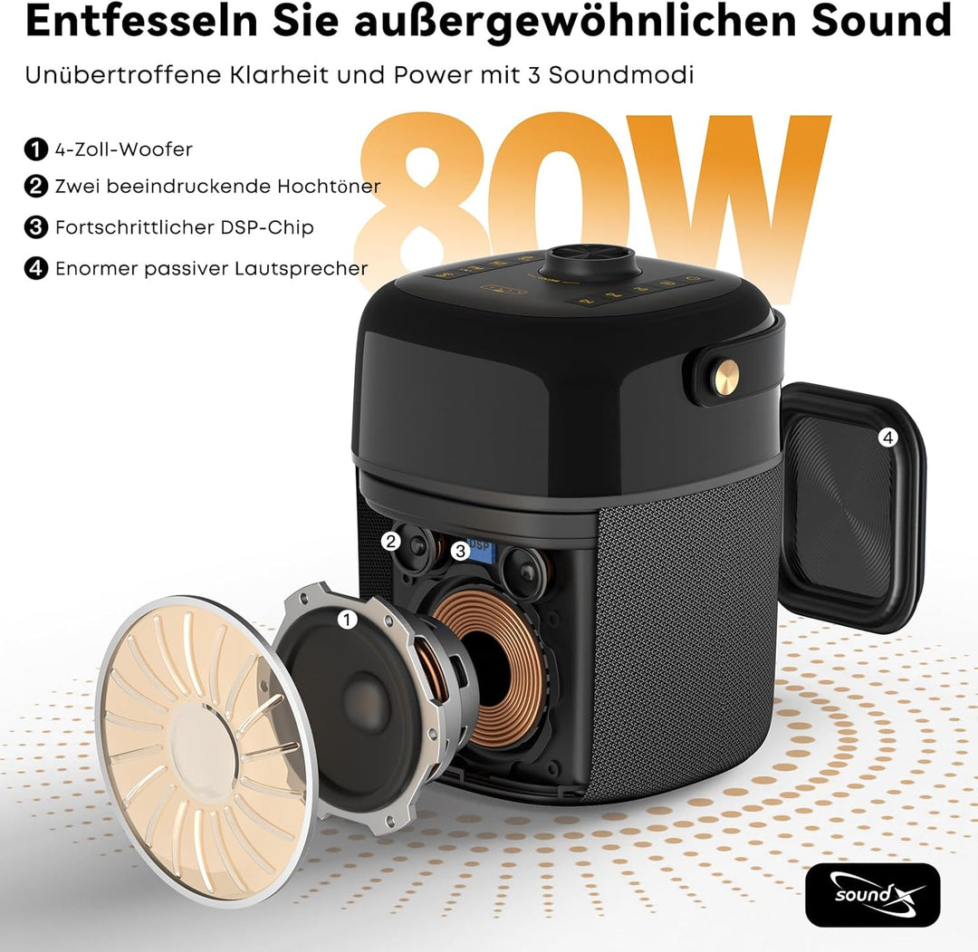 Karaoke Anlage mit 2 Mikrofonen für Erwachsene und Kinder, Tragbarer Karaoke Maschine mit RGB-Licht,