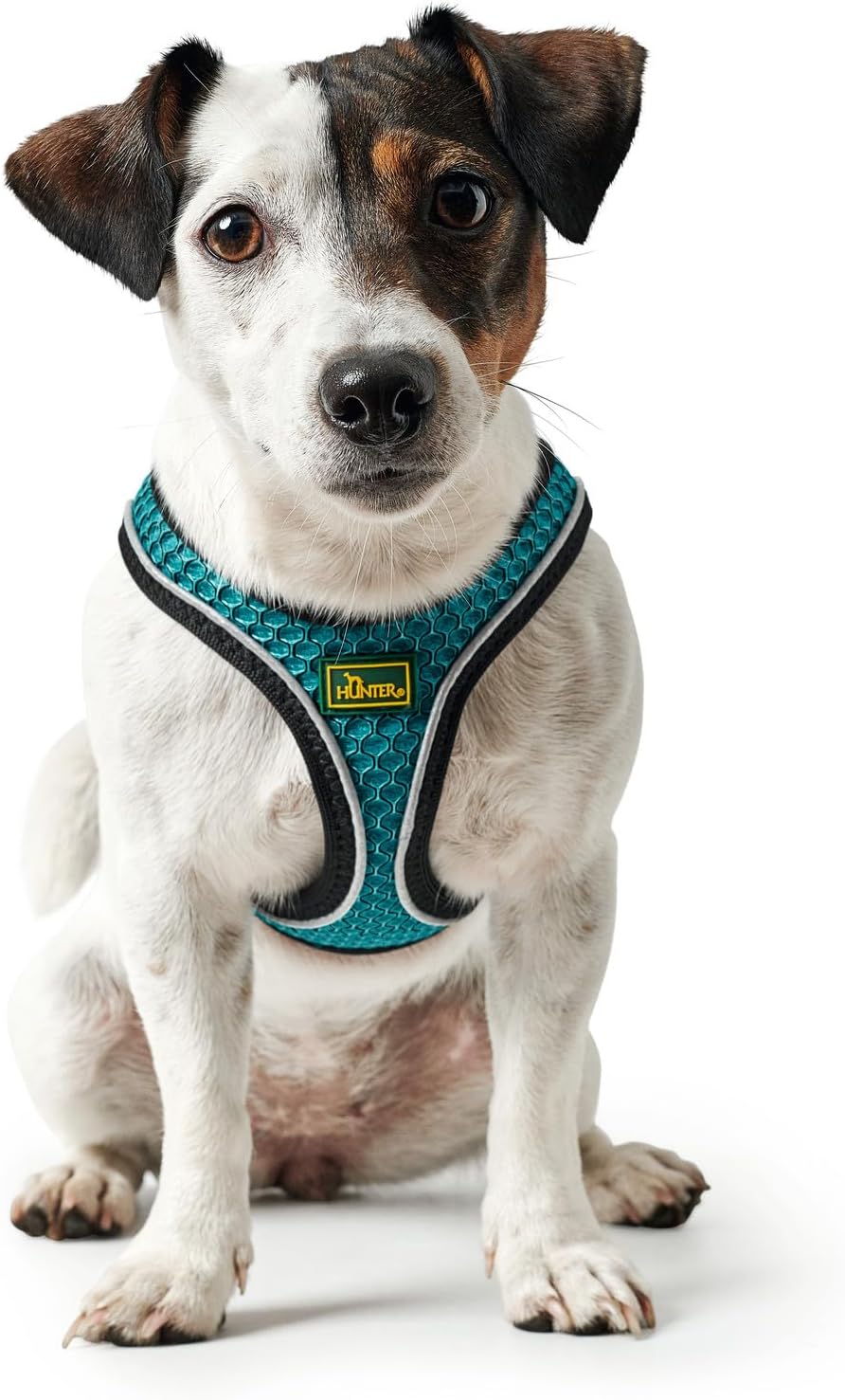 HUNTER HILO COMFORT Geschirr für kleine Hunde mit Netzmaterial und reflektierenden Elementen, türkis