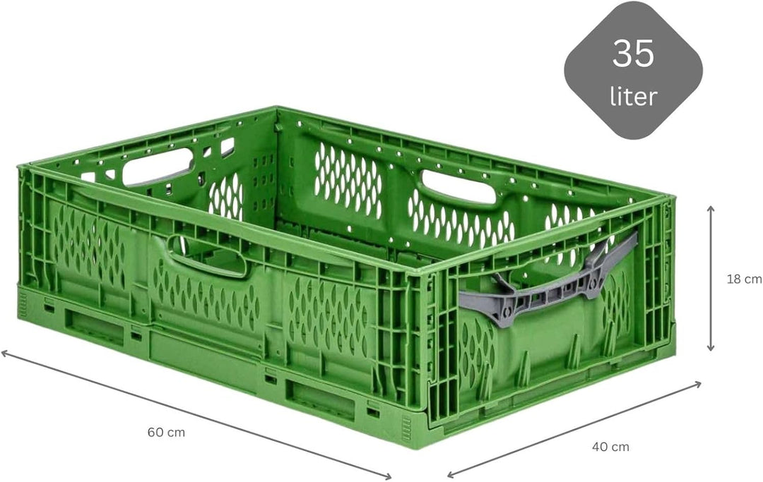 PROREGAL Stabile Profi-Klappbox Chameleon in Industriequalität | HxBxT 18x40x60cm | 35 Liter | klapp