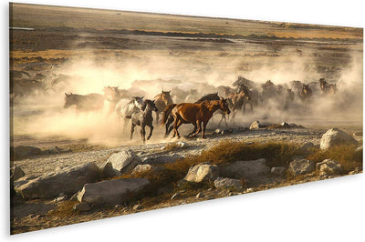 islandburner Bild auf Leinwand Wildpferde Herde Staub Bilder Wandbilder Poster Leinwand 120x40cm - P