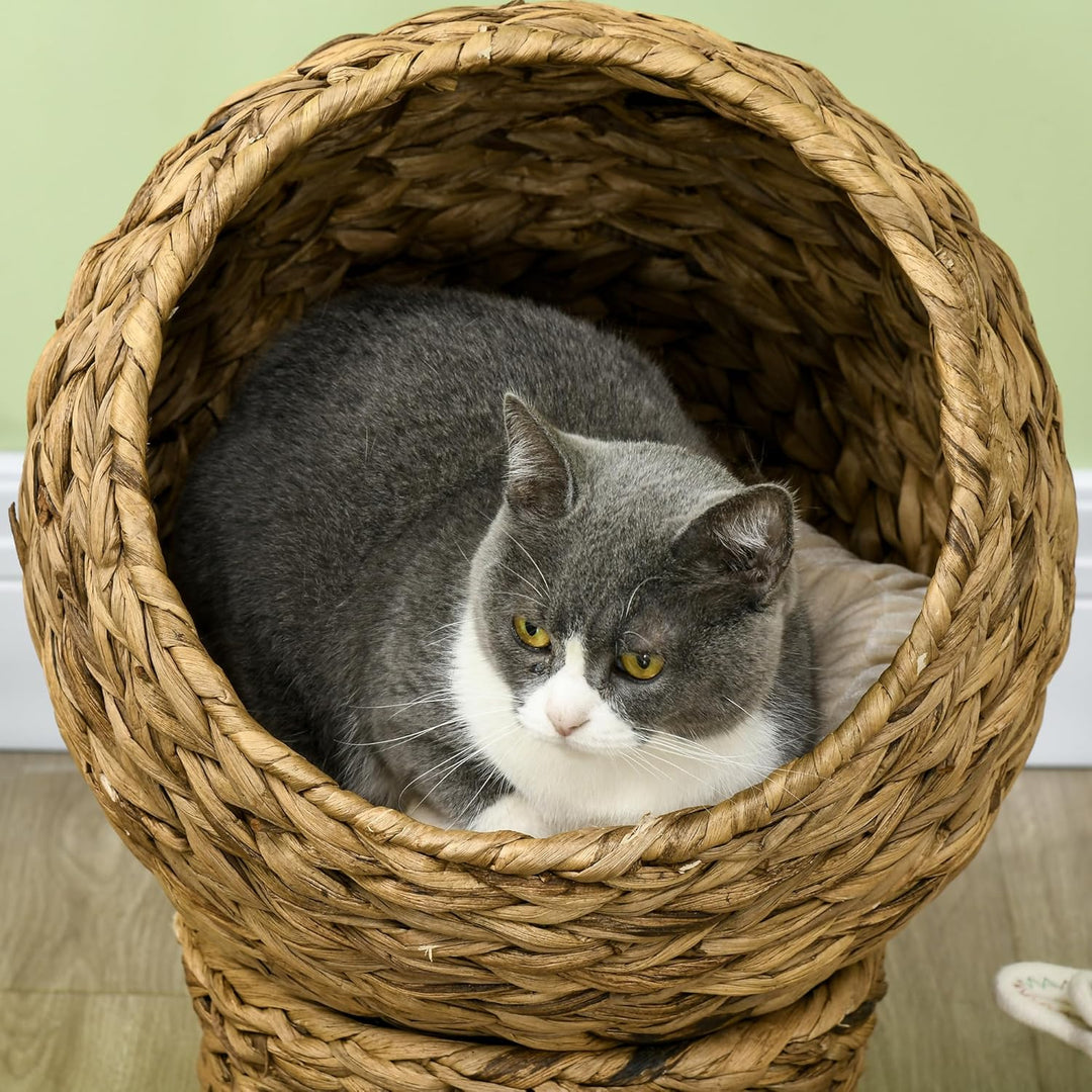 PawHut Rattan Katzenkorb Katzenhöhle Katzenhütte Katzenbett mit Kissen Haustierbett Wasserhyazinthe