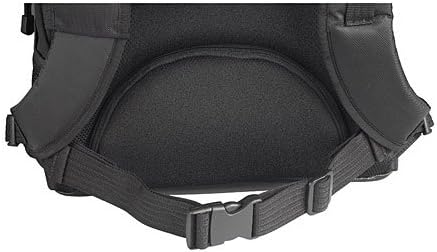 Targus TEB01 Campus Laptop-Rucksack 15-16" - Schwarz, schwarz