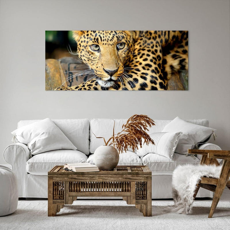 Wandbilder Dekoration Wohnzimmer Tiere gefährlich wilde katze Panorama Bilder auf Leinwand 120x50cm