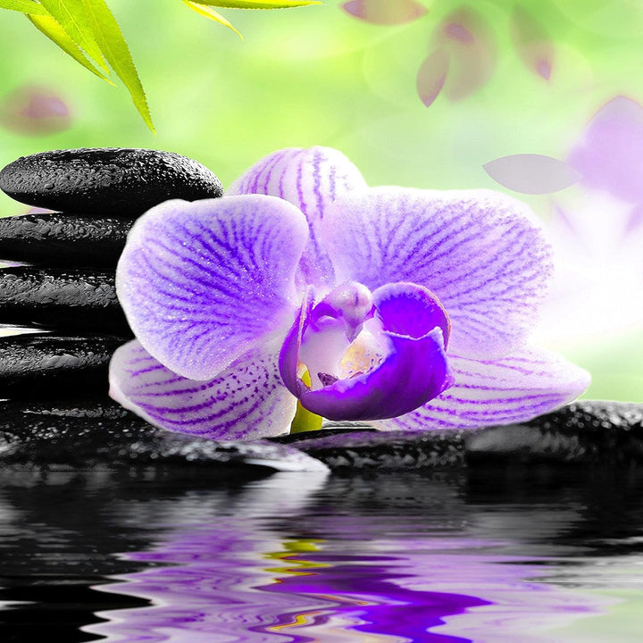 Runa Art Wandbilder Orchidee Feng Shui 5 Teilig Bild auf Vlies Leinwand Deko Wohnzimmer Schlafzimmer