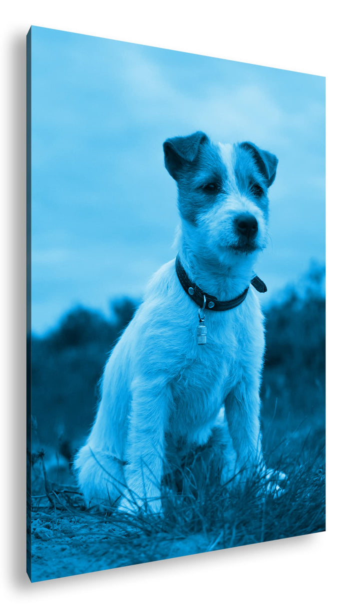 deyoli süsser Jack Russell Terrier Format 80x60 Effekt: Monocrome Blau als Leinwandbild, Motiv ferti