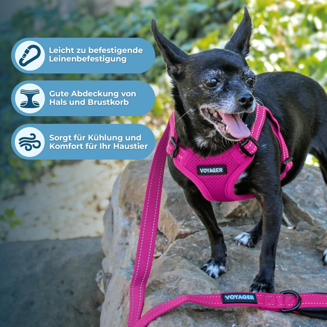 Voyager Verstellbares Hundegeschirr mit Reflektorstreifen by Best Pet Supplies - Strapazierfähige Ga