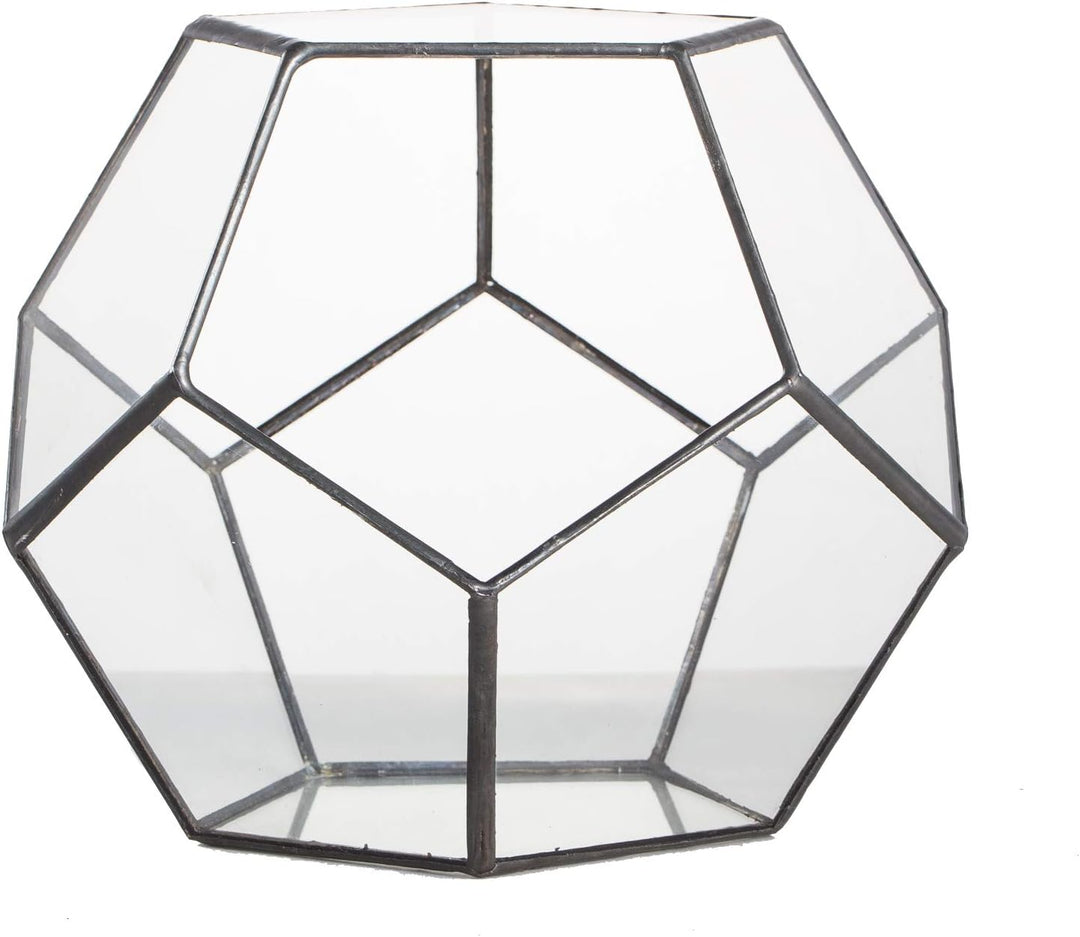 NCYP Handmade Blumentopf Transparentes fünfeckiges Dodekaeder Glas, Terrarium, auch für Sukkulenten,