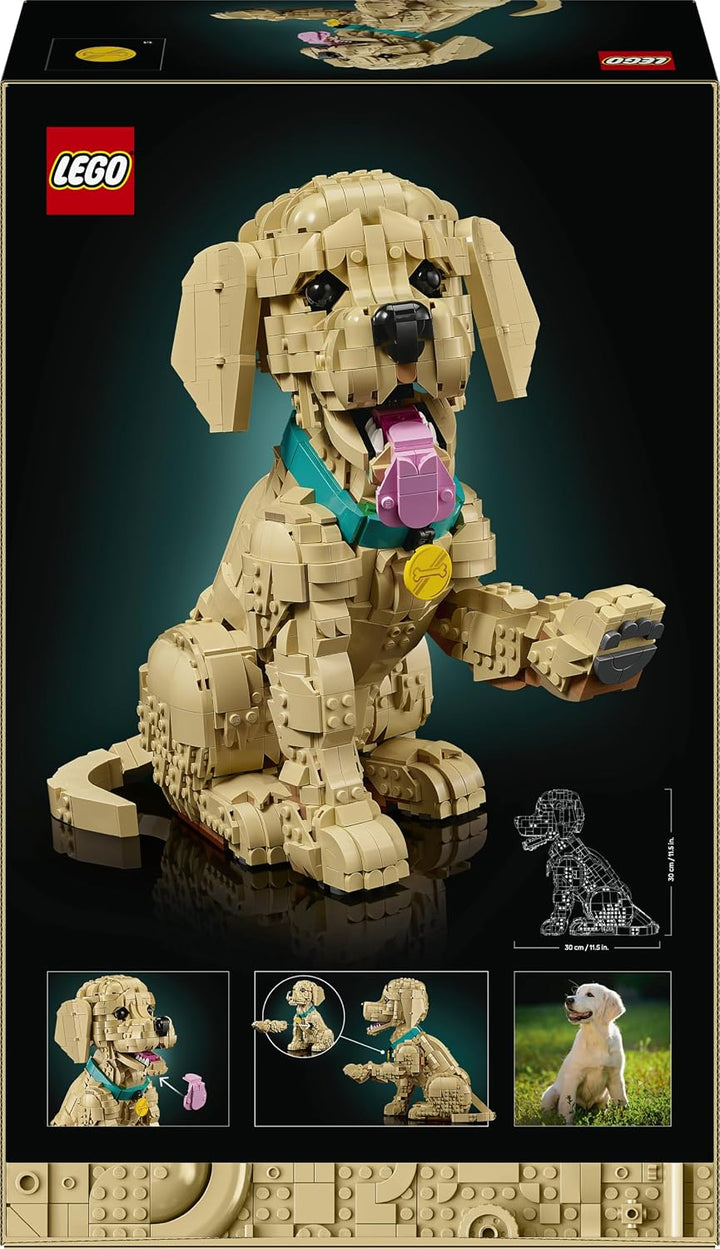 LEGO Icons Golden Retriever Welpe - Modellbau für Erwachsene - 3D Tierfigur zum Ausstellen mit Halsb