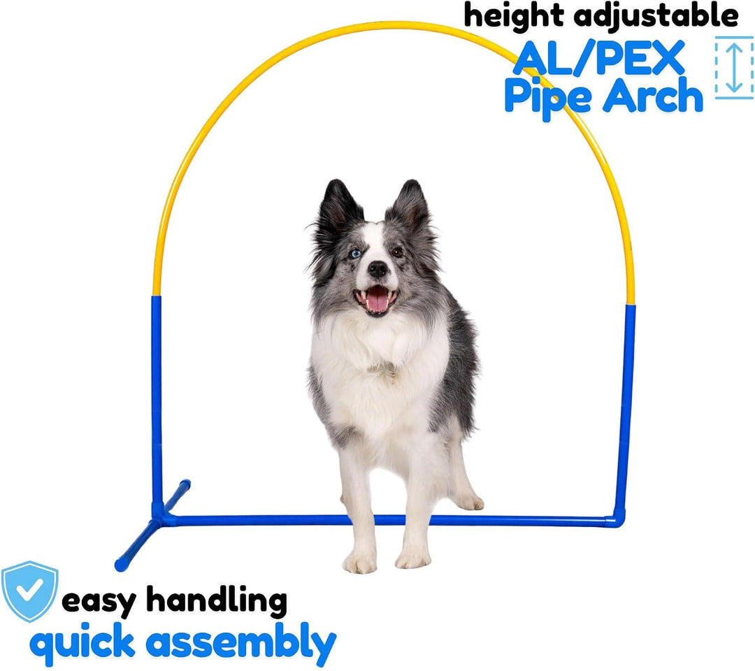 Callieway 6X NADAC Hoopers Agility Hoops - Grosspackung Fun Hoops - Blau - 6er Pack (Mit Mittelstreb