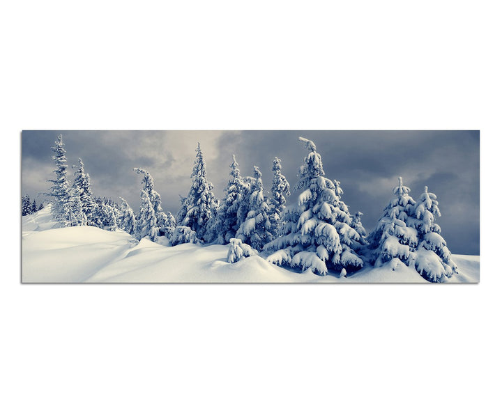Paul Sinus Art Panoramabild auf Leinwand und Keilrahmen 150x50cm Winterlandschaft Bäume Schnee Wolke