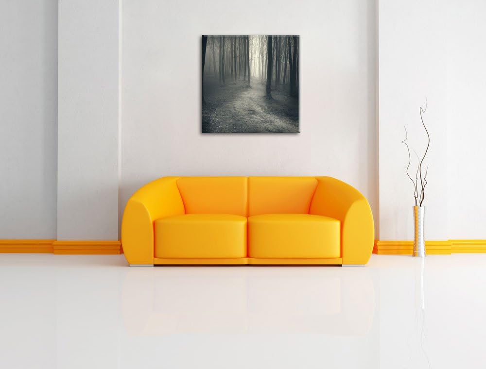 Pixxprint Düstere Landschaft schwarz weiss, Format: 70x70 auf Leinwand, 70x70