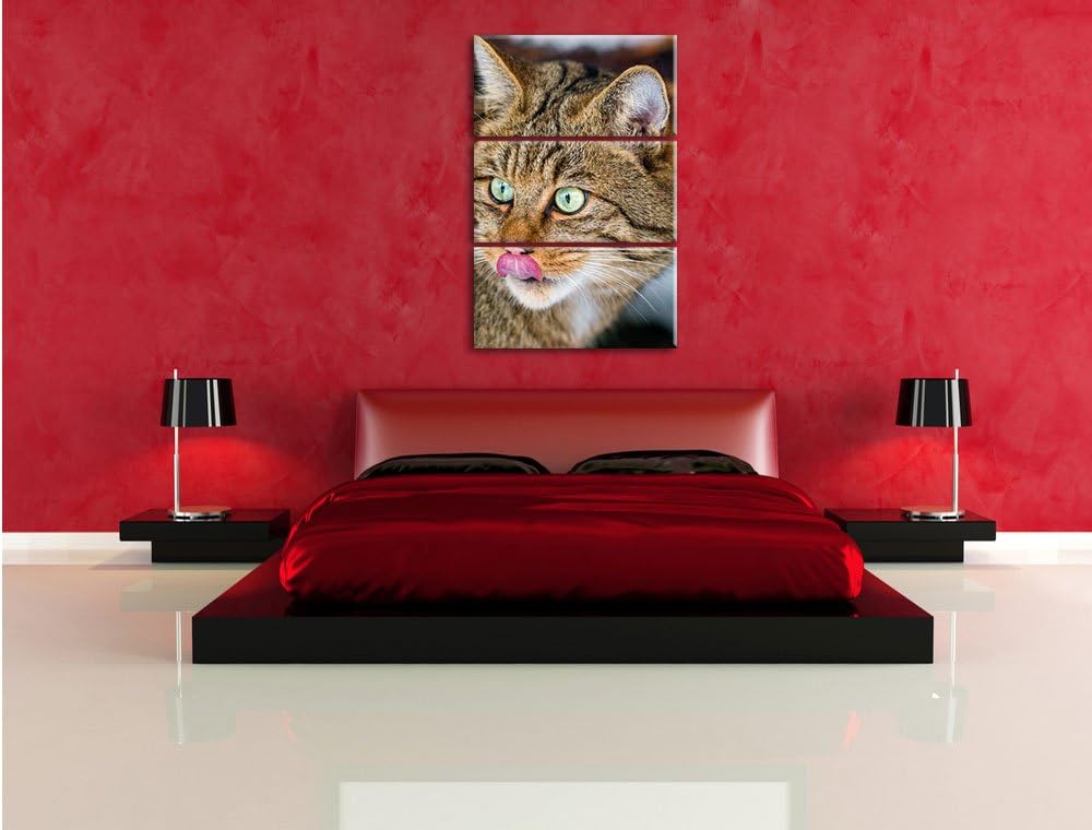 Pixxprint schöne Manul in Schneelandschaft als Leinwandbild/Grösse: 3 Teilig (120x80) cm/Wandbild/Ku