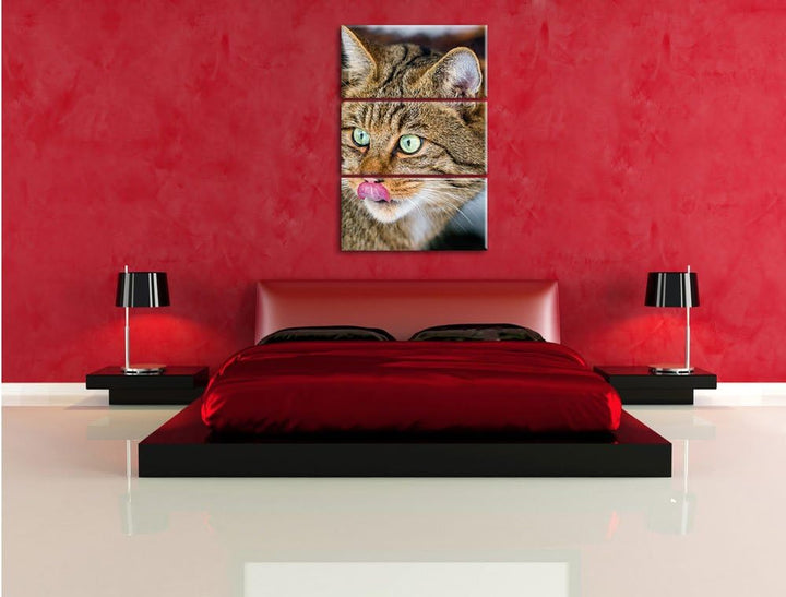 Pixxprint schöne Manul in Schneelandschaft als Leinwandbild/Grösse: 3 Teilig (120x80) cm/Wandbild/Ku