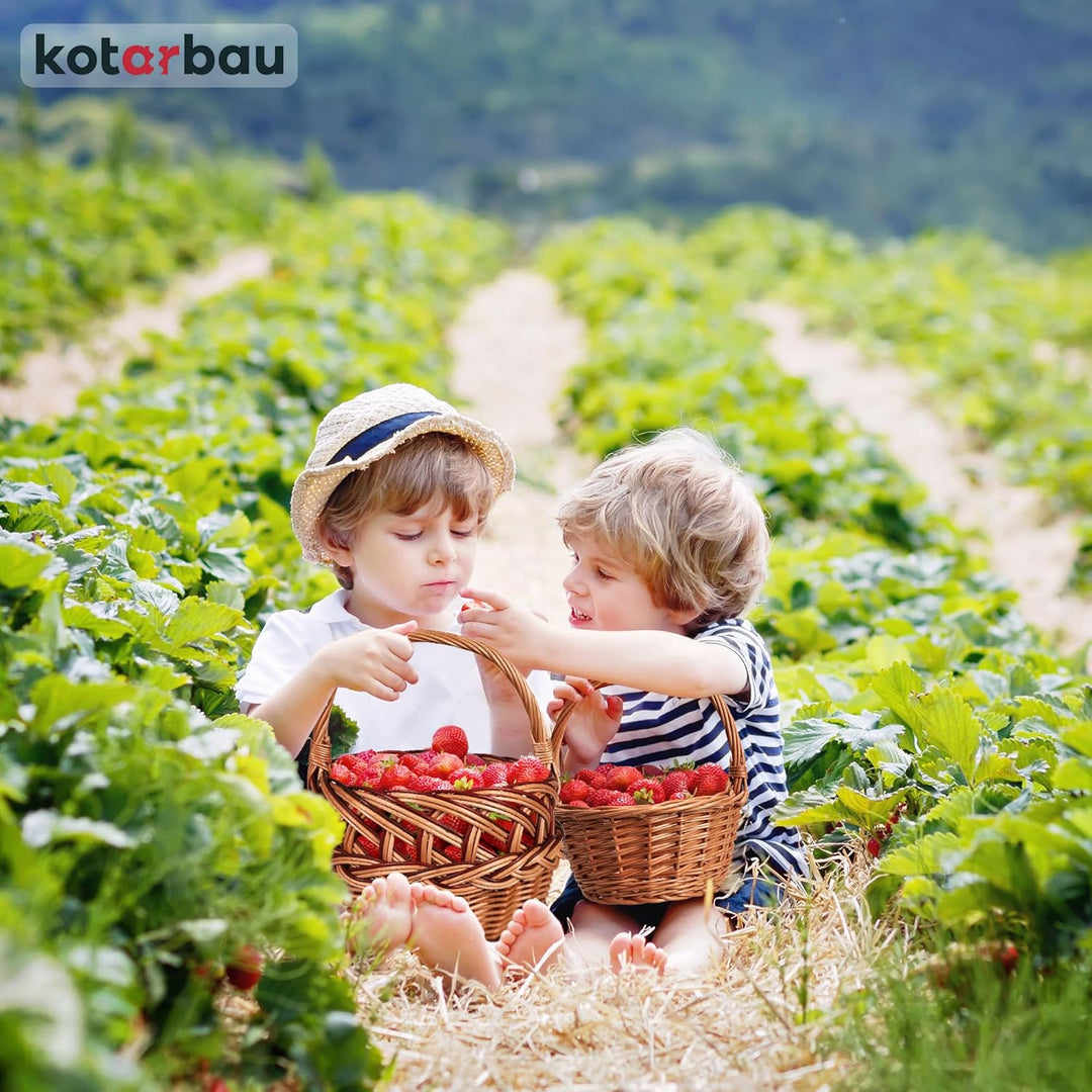 KOTARBAU® Weidenkorb mit Henkel Kinder 290 x 220 x 200 mm Kinder Ostern Körbchen kleiner Weidenkorb