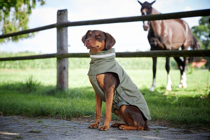 Wolters Outdoorjacke Modern Classic, Grösse:30 cm, Farbe:Olive 30 cm olive, 30 cm olive