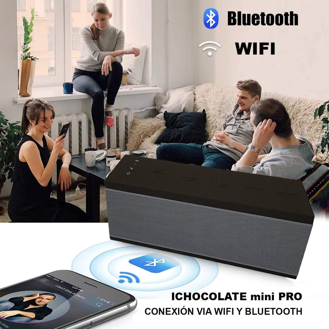 BSL-miniPRO Tragbarer WLAN- und Bluetooth-Lautsprecher | Freisprecheinrichtung | für eine Vielzahl v