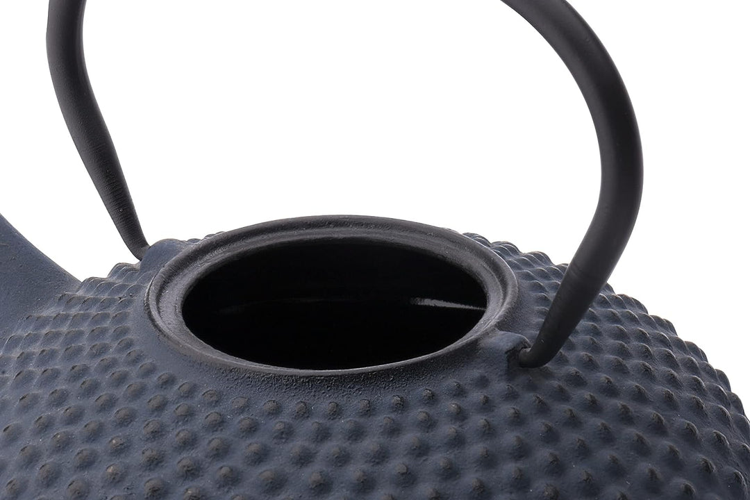 Bredemeijer Flache Blaue gusseiserne Teekanne 1.25 Liter Xilin mit Edelstahlfilter Einzelbett, Einze